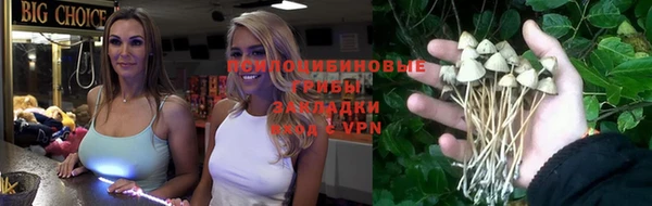 дживик Абинск