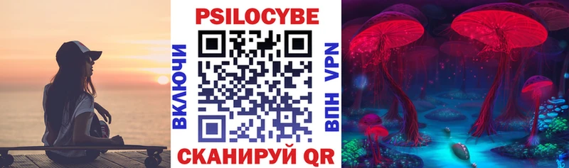 MEGA сайт  Касли  Псилоцибиновые грибы Psilocybine cubensis 